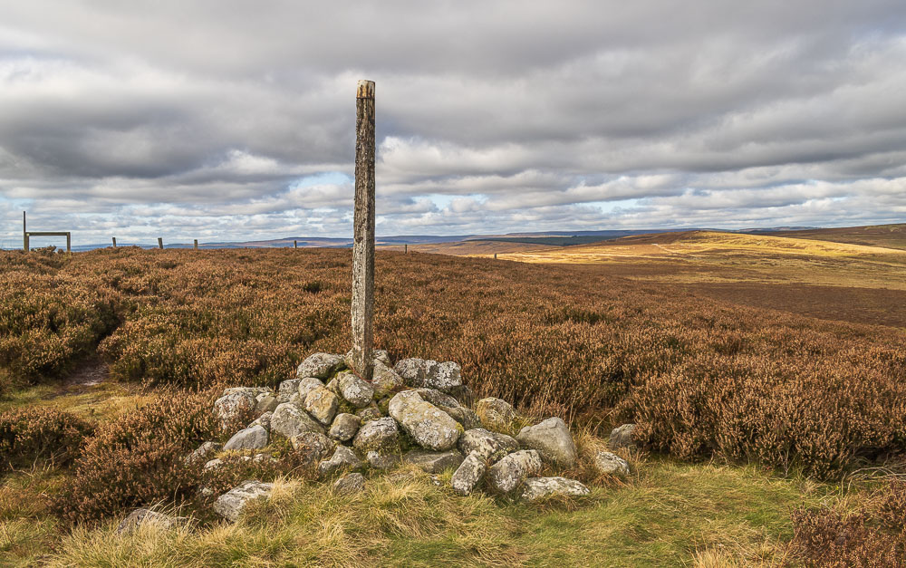 Whitley Pike Whitley Pike